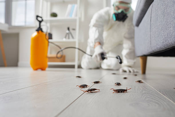 Commercial Kitchen Cockroach Control in Greenwood